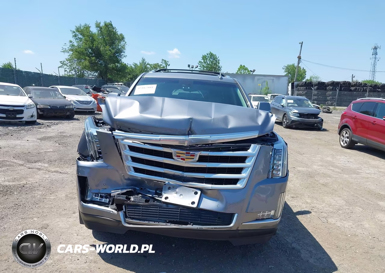 2019 Cadillac Escalade Esv Luxury VIN:1GYS4HKJ7KR203140 - 12