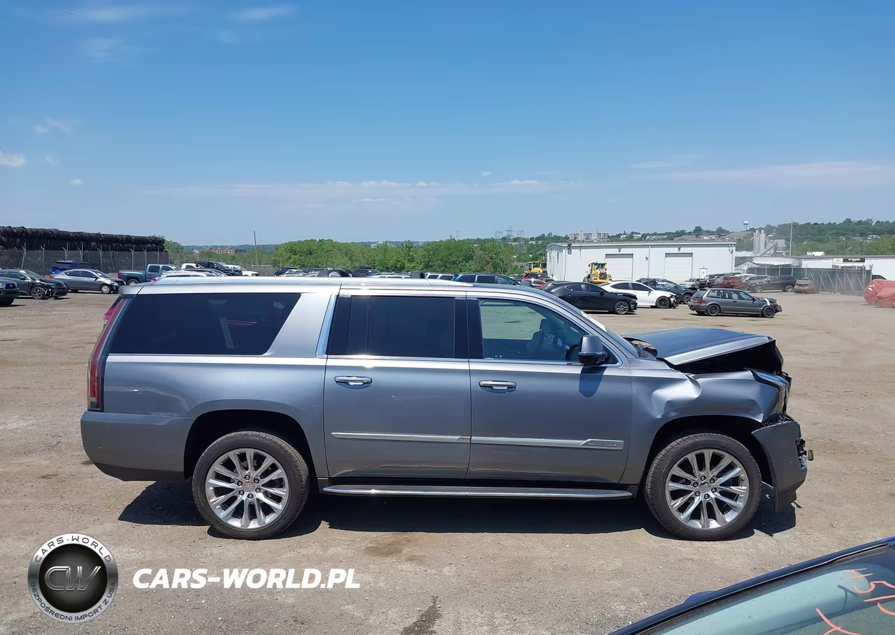 2019 Cadillac Escalade Esv Luxury VIN:1GYS4HKJ7KR203140 - 13