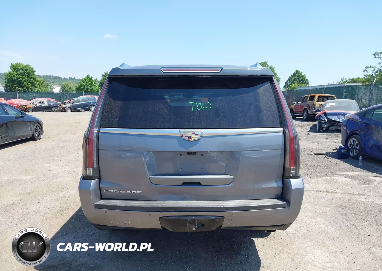 2019 Cadillac Escalade Esv Luxury VIN:1GYS4HKJ7KR203140 - 16