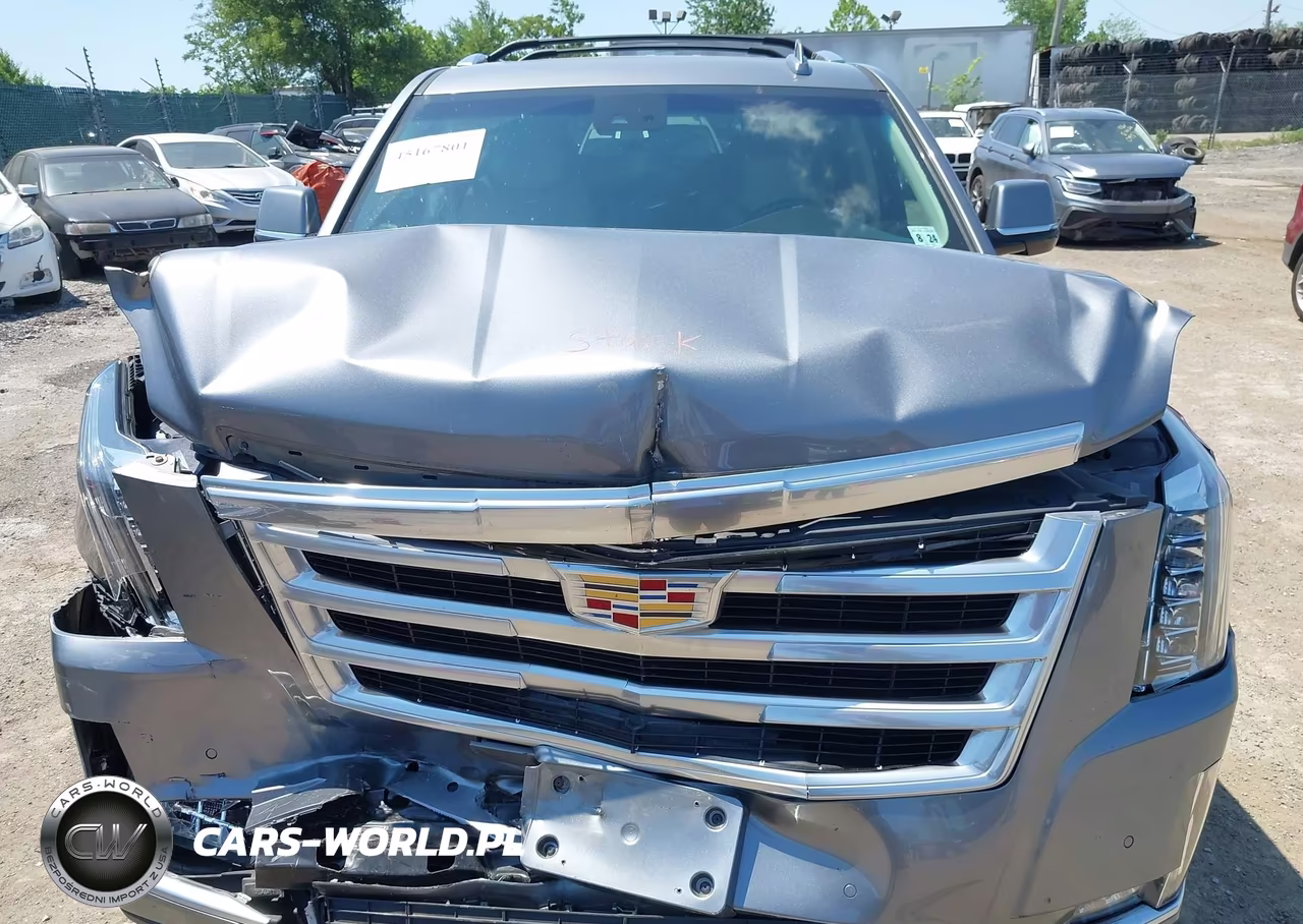 2019 Cadillac Escalade Esv Luxury VIN:1GYS4HKJ7KR203140 - 6