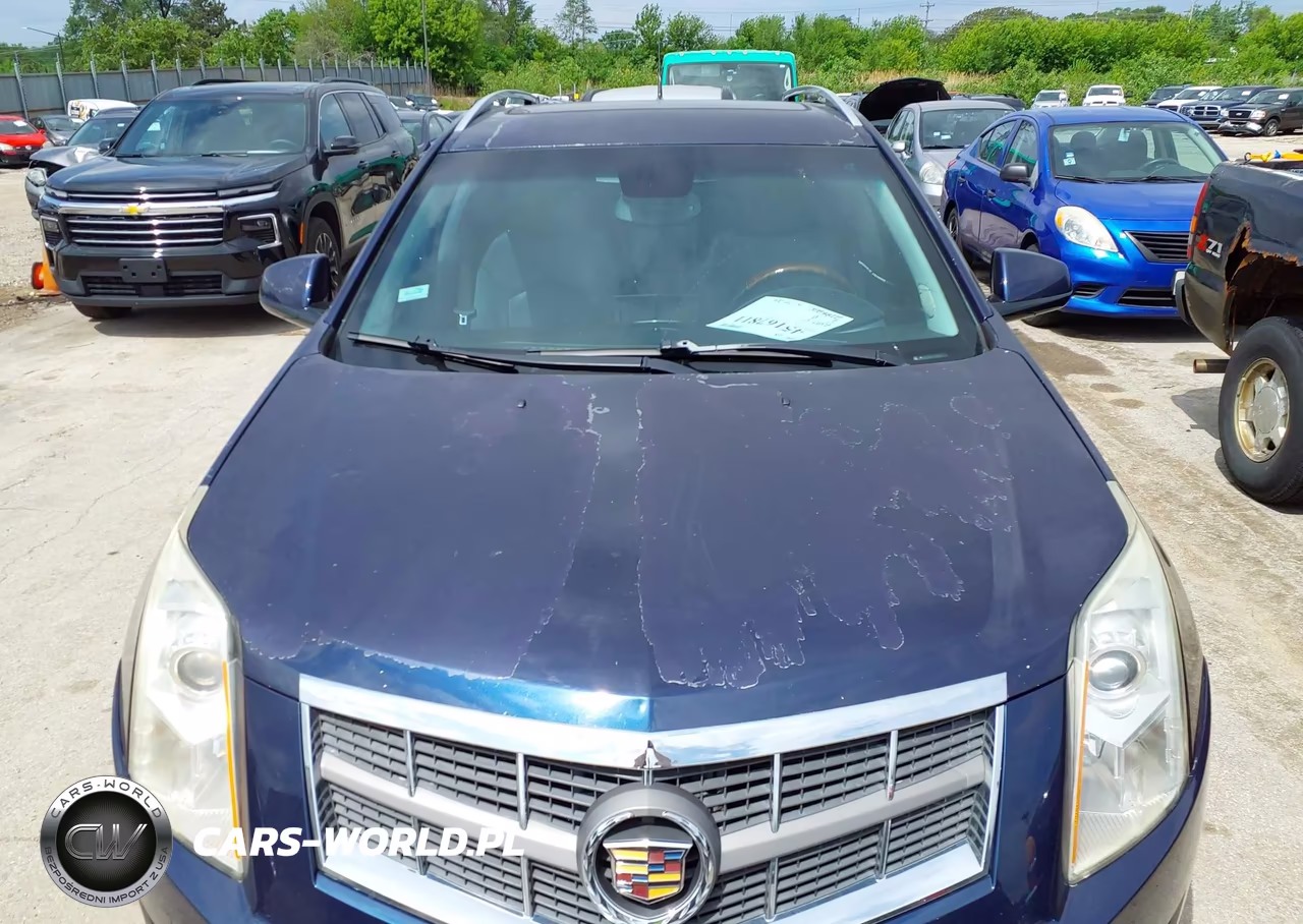 2010 Cadillac Srx Luxury Collection VIN:3GYFNAEY2AS522200 - 6