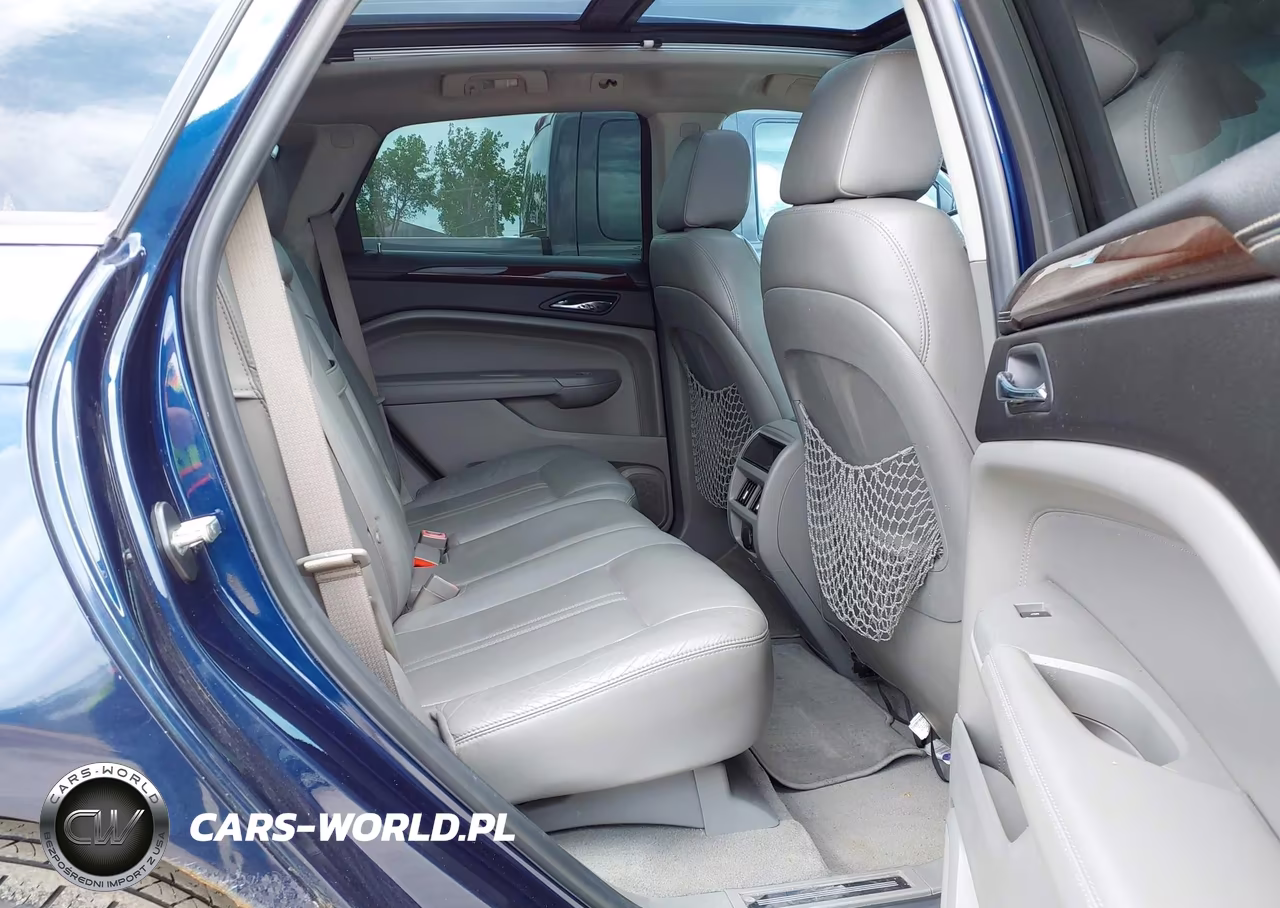 2010 Cadillac Srx Luxury Collection VIN:3GYFNAEY2AS522200 - 8