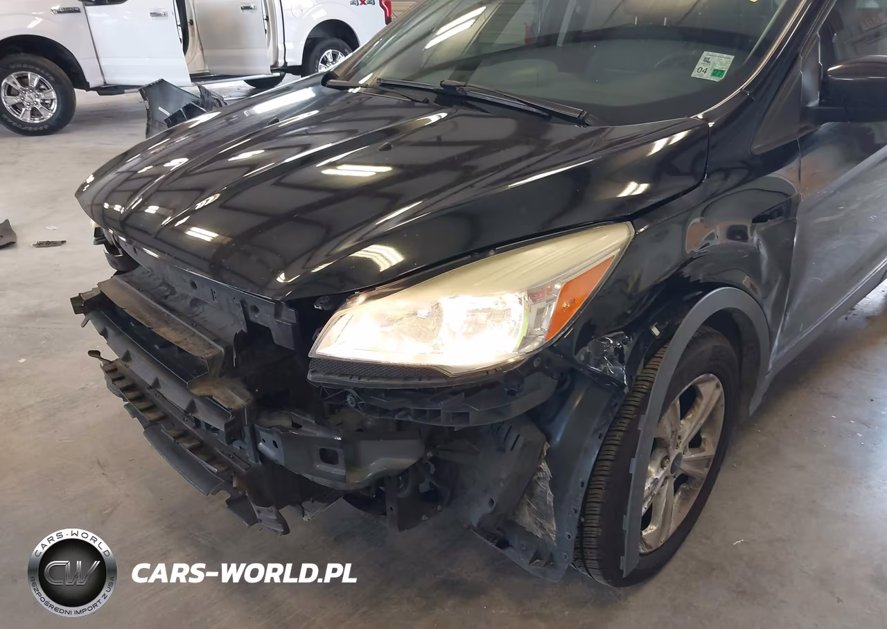 2014 Ford Escape Se VIN:1FMCU0GX2EUD29461 - 15