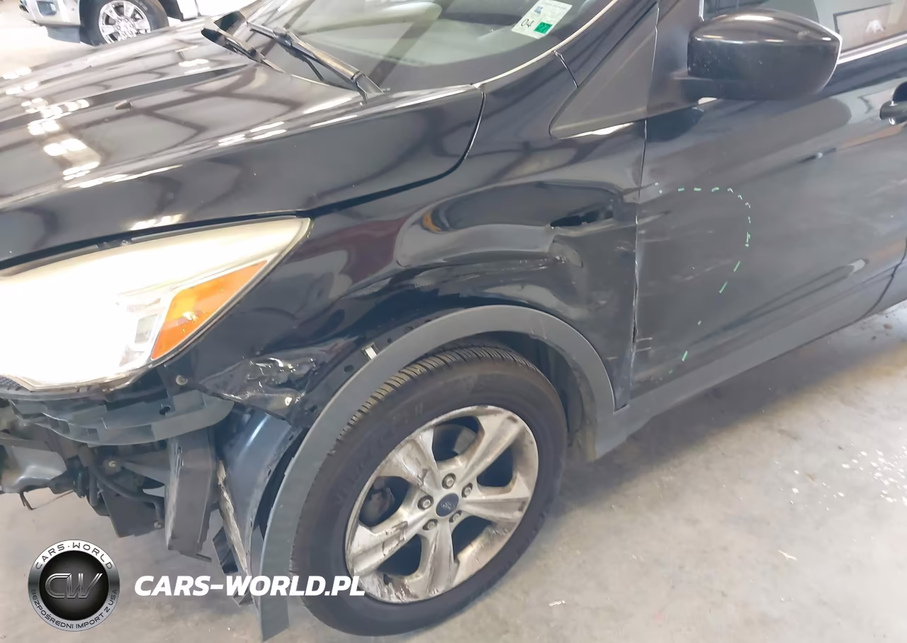 2014 Ford Escape Se VIN:1FMCU0GX2EUD29461 - 16