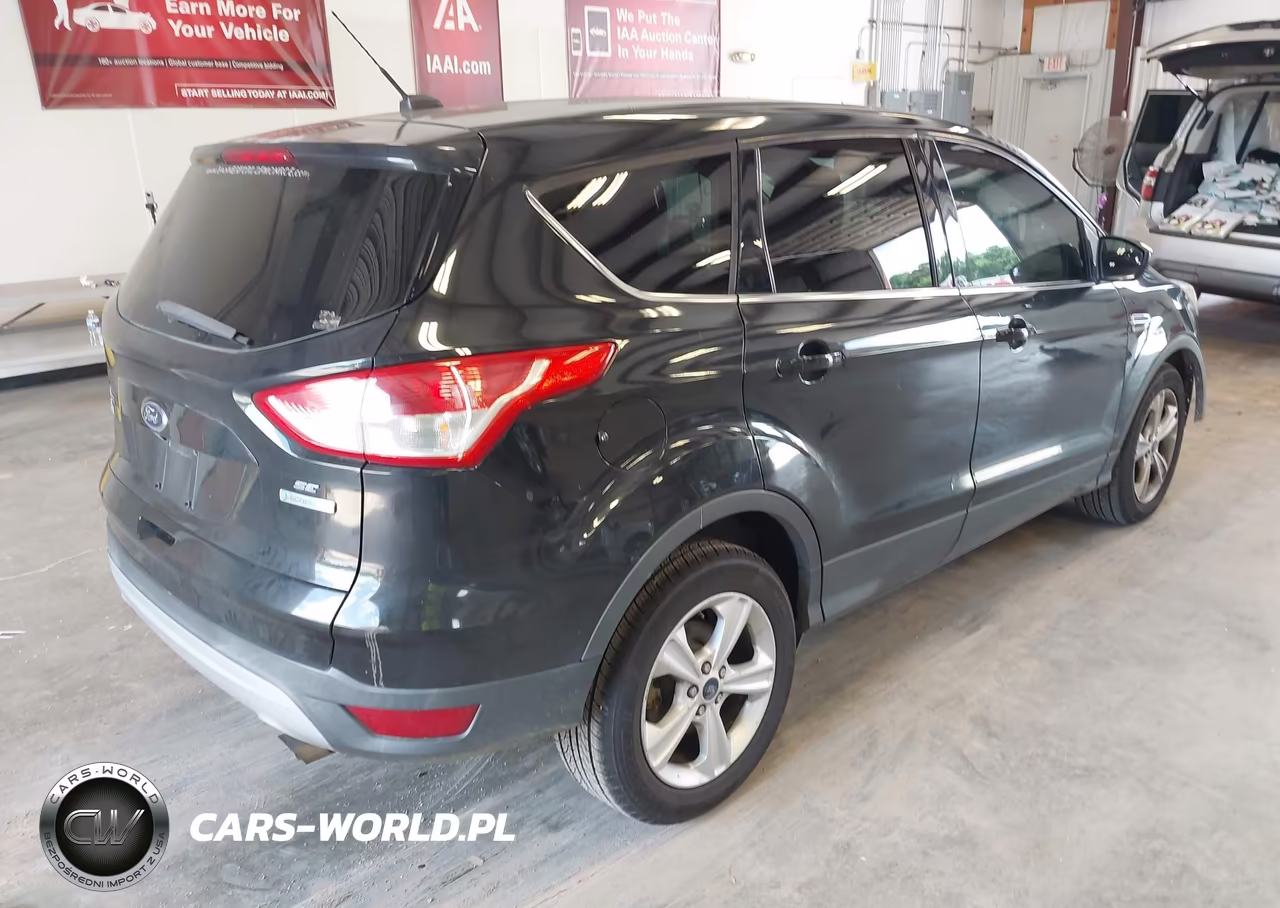 2014 Ford Escape Se VIN:1FMCU0GX2EUD29461 - 4