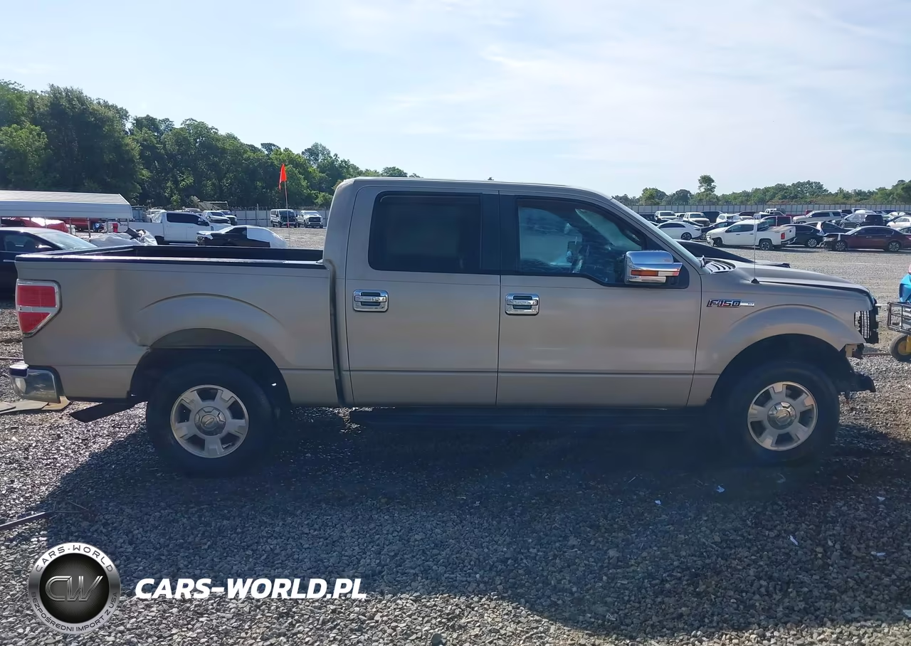 2010 Ford F-150 Fx2 Sport-Harley-Davidson-King Ranch-Lariat-Platinum-Xl-Xlt VIN:1FTFW1CV7AKB68939 - 13