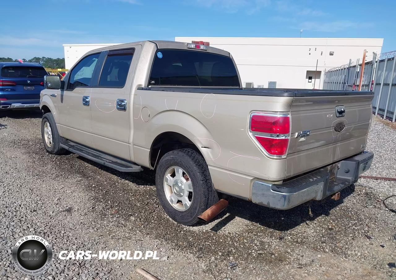 2010 Ford F-150 Fx2 Sport-Harley-Davidson-King Ranch-Lariat-Platinum-Xl-Xlt VIN:1FTFW1CV7AKB68939 - 3