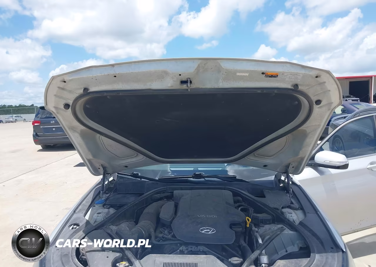 2016 Hyundai Genesis 3.8 VIN:KMHGN4JE8GU143553 - 10