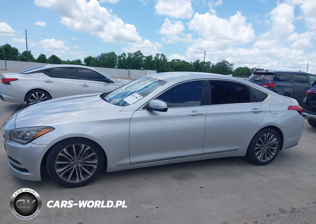 2016 Hyundai Genesis 3.8 VIN:KMHGN4JE8GU143553 - 14