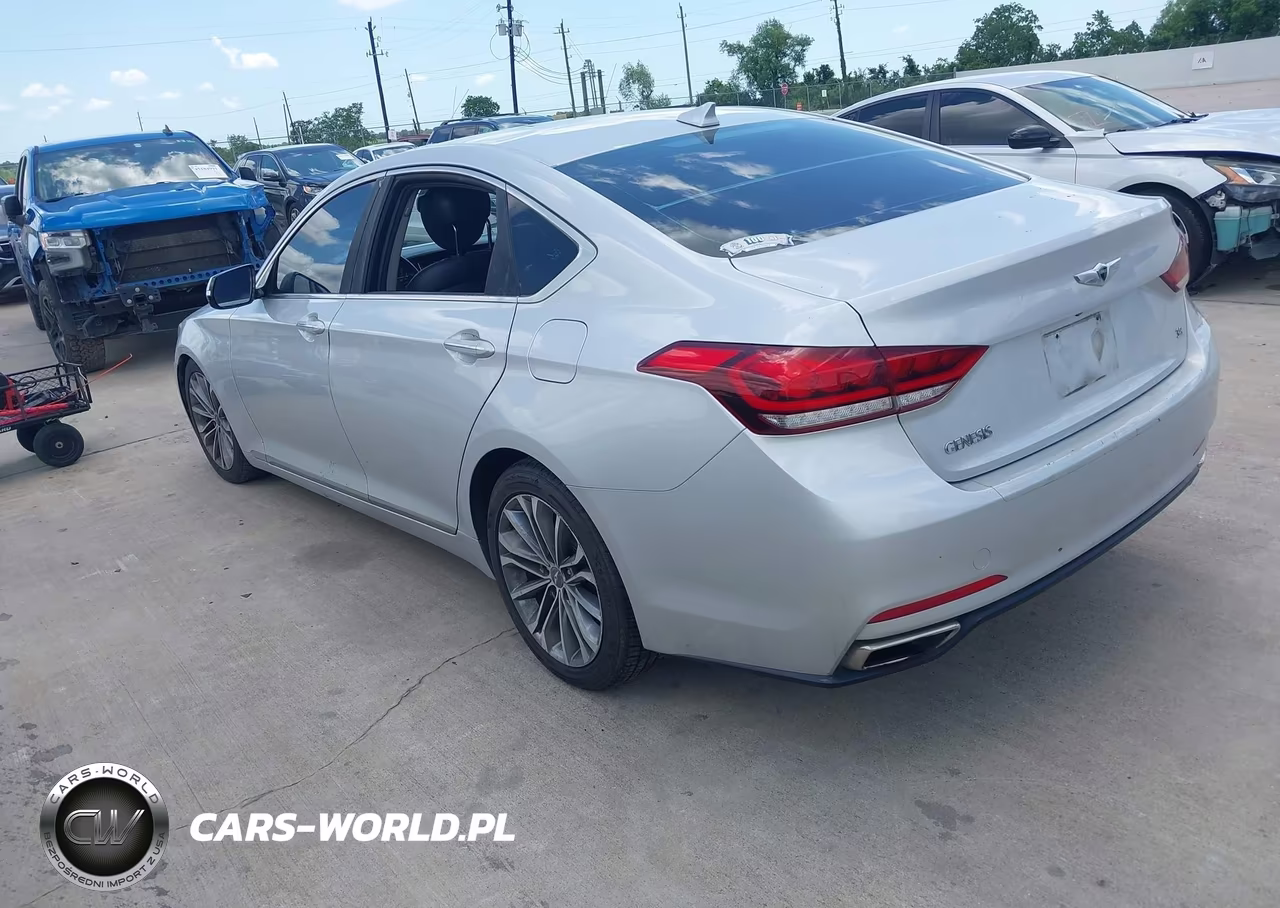 2016 Hyundai Genesis 3.8 VIN:KMHGN4JE8GU143553 - 3