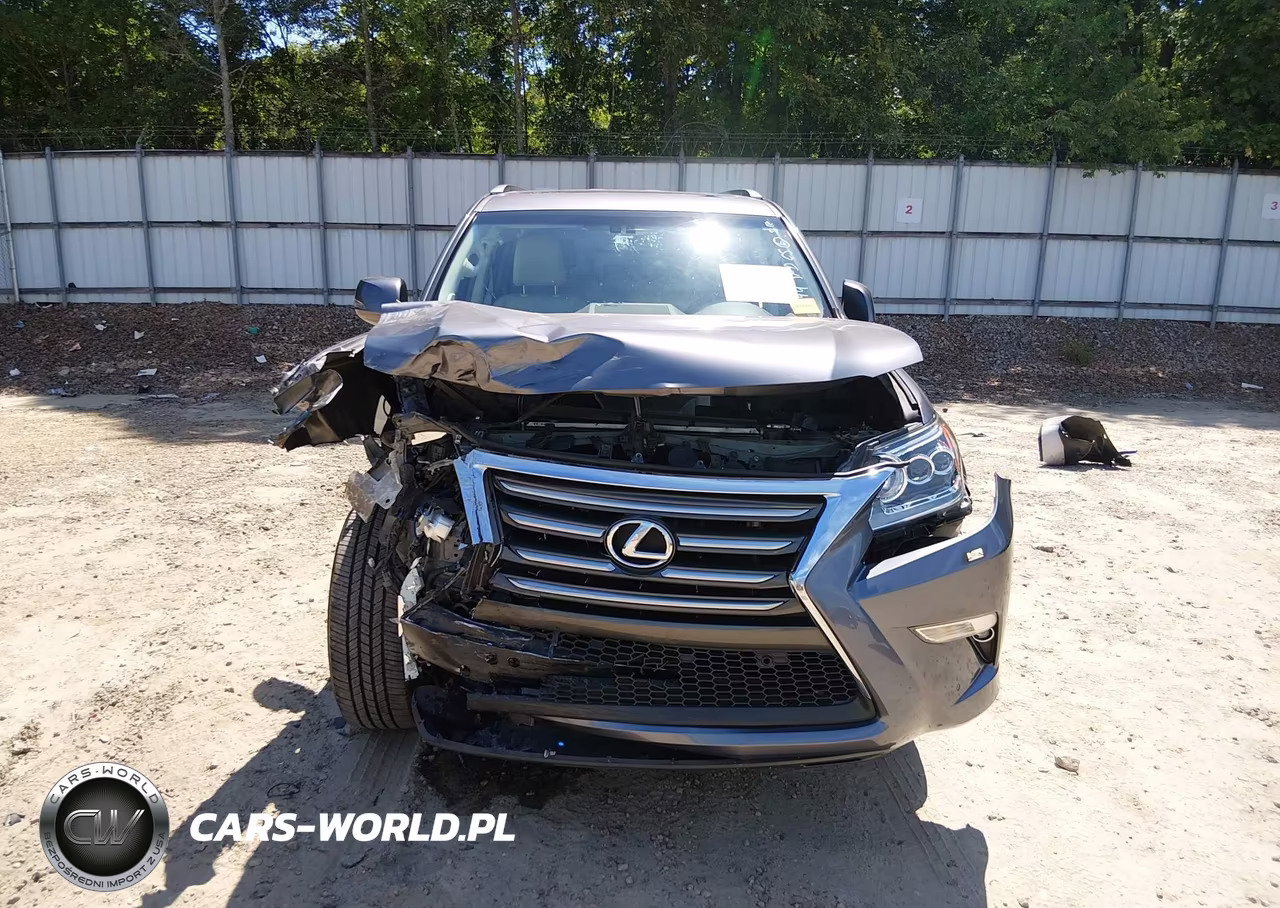 2019 Lexus Gx 460 Premium VIN:JTJBM7FX9K5214644 - 13