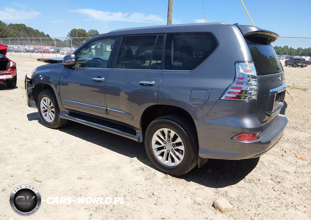 2019 Lexus Gx 460 Premium VIN:JTJBM7FX9K5214644 - 3