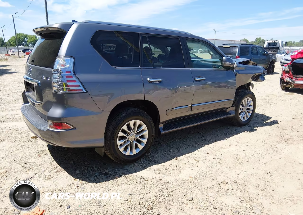 2019 Lexus Gx 460 Premium VIN:JTJBM7FX9K5214644 - 4