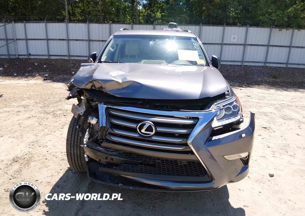 2019 Lexus Gx 460 Premium VIN:JTJBM7FX9K5214644 - 6