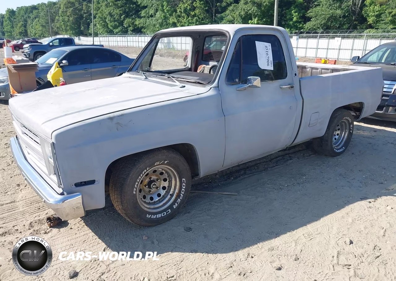 1985 Chevrolet C10 VIN:1GCDC14H4FF439822 - 2