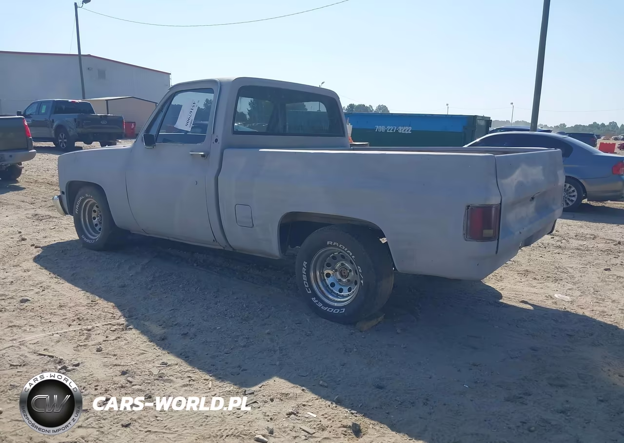 1985 Chevrolet C10 VIN:1GCDC14H4FF439822 - 3