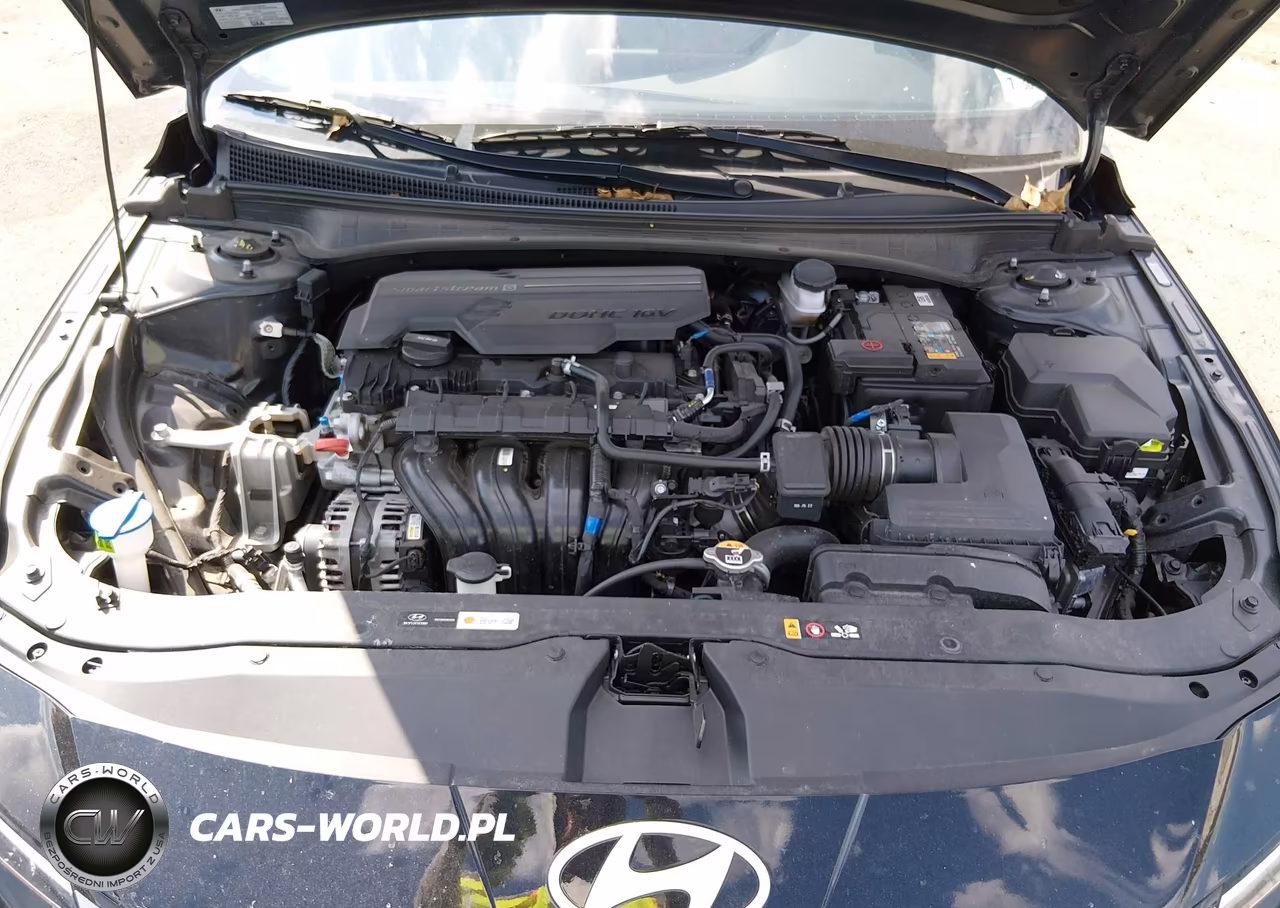 2024 Hyundai Elantra Limited VIN:KMHLP4DG5RU776861 - 10