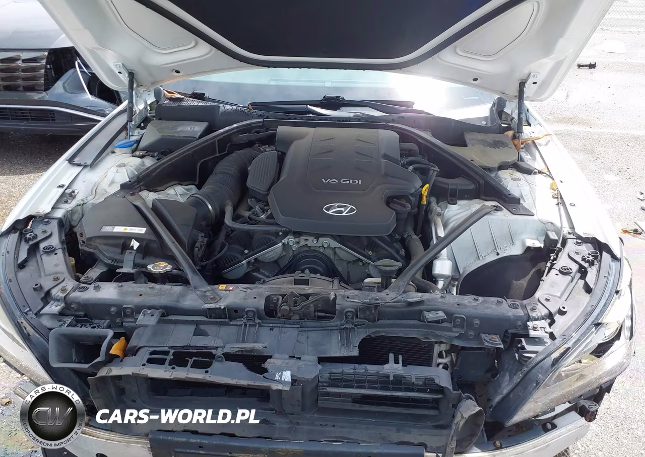 2016 Hyundai Genesis 3.8 VIN:KMHGN4JE2GU124853 - 10