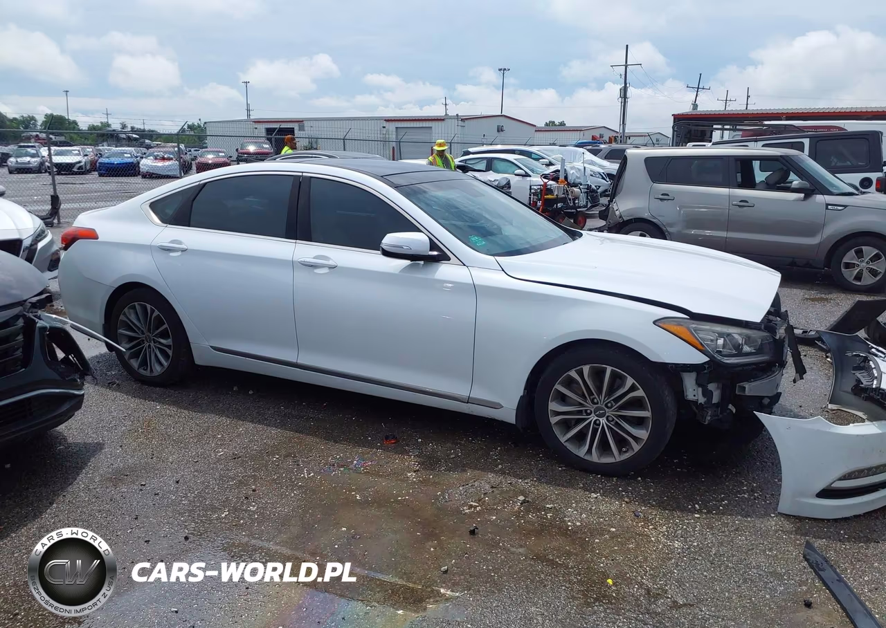 2016 Hyundai Genesis 3.8 VIN:KMHGN4JE2GU124853 - 13