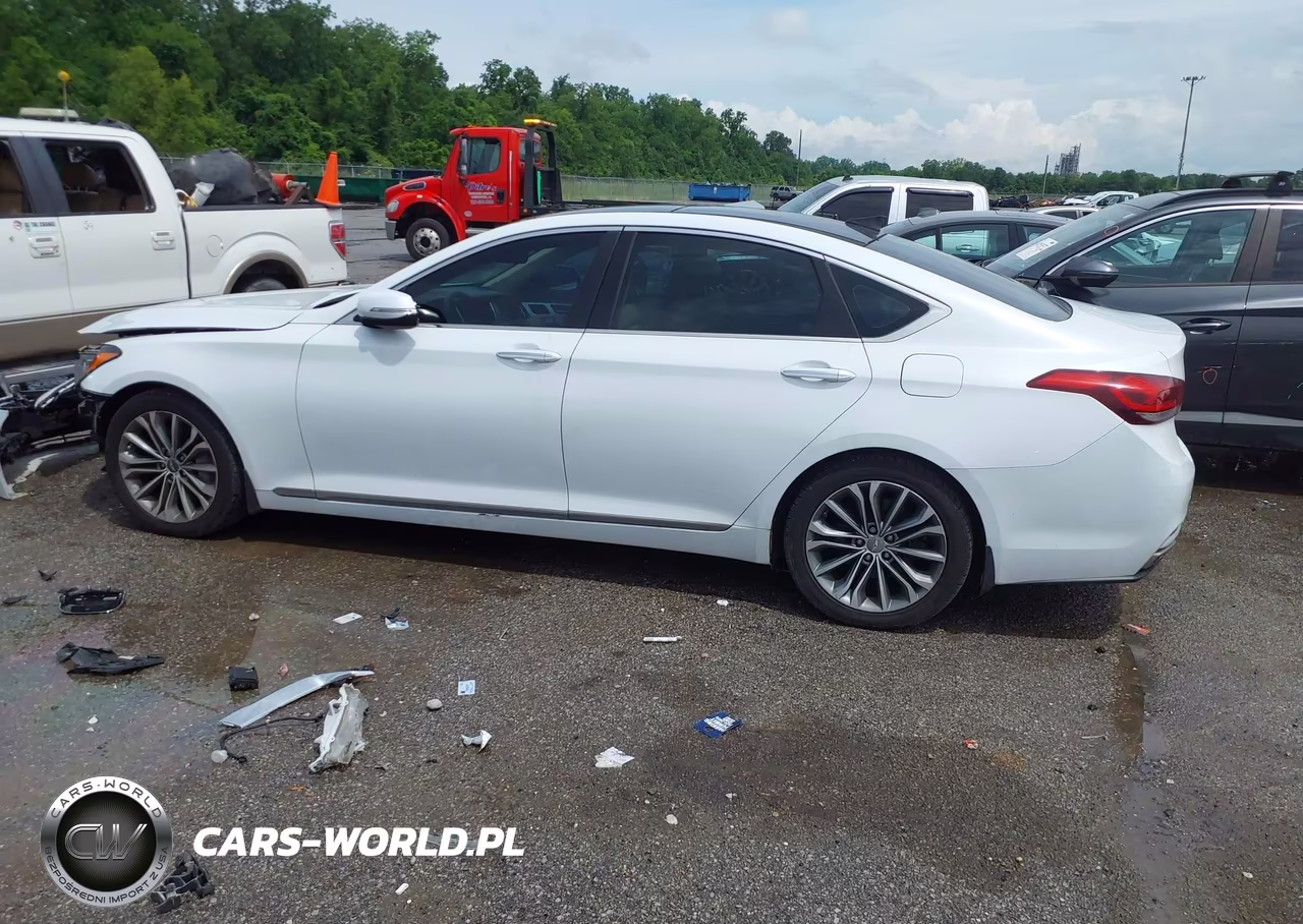 2016 Hyundai Genesis 3.8 VIN:KMHGN4JE2GU124853 - 14
