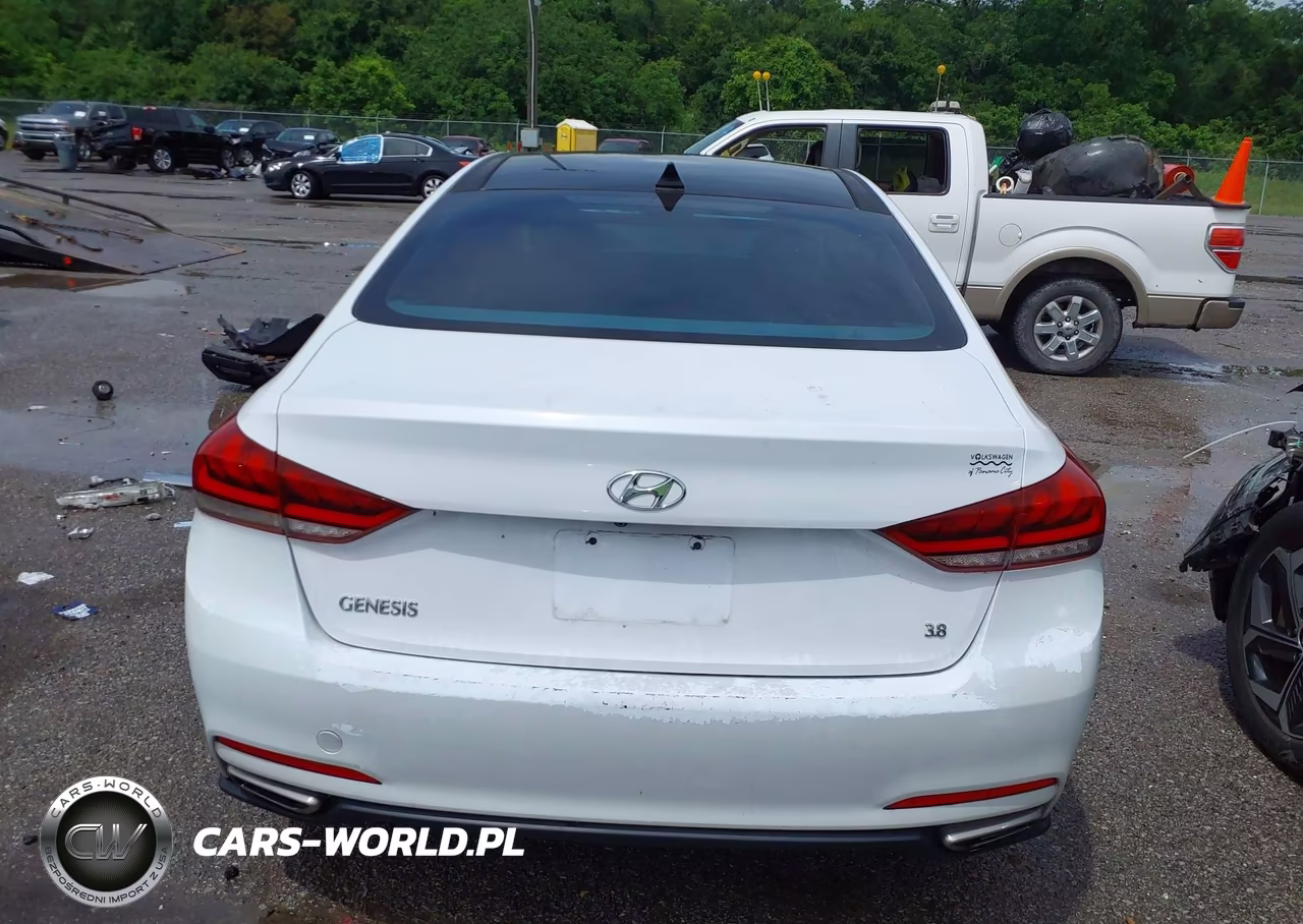 2016 Hyundai Genesis 3.8 VIN:KMHGN4JE2GU124853 - 16