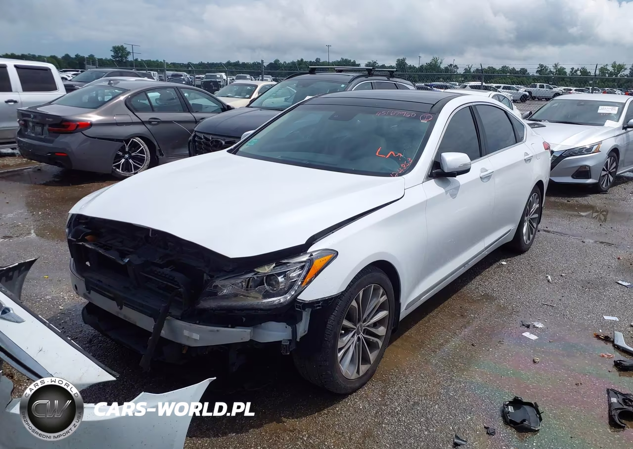 2016 Hyundai Genesis 3.8 VIN:KMHGN4JE2GU124853 - 2