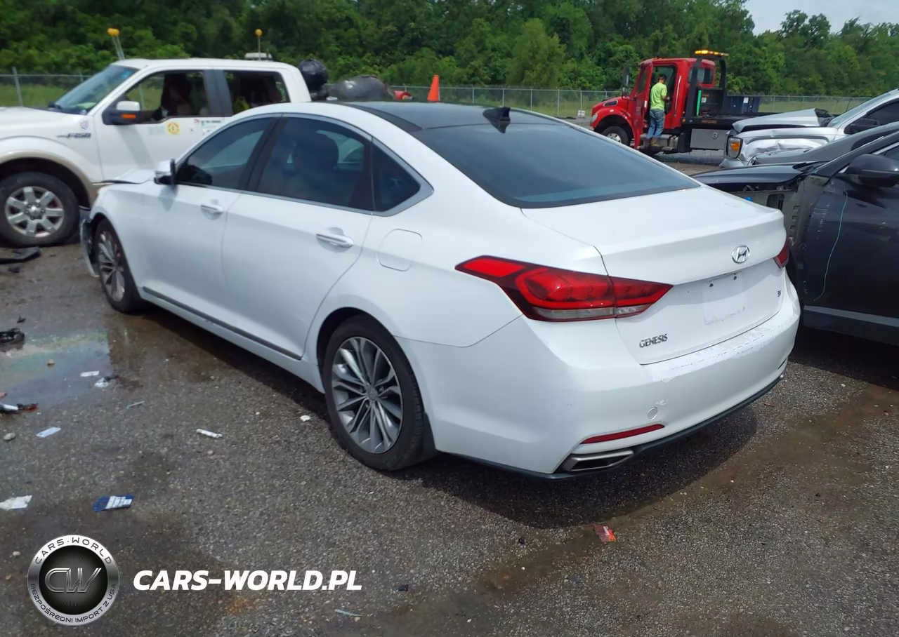 2016 Hyundai Genesis 3.8 VIN:KMHGN4JE2GU124853 - 3