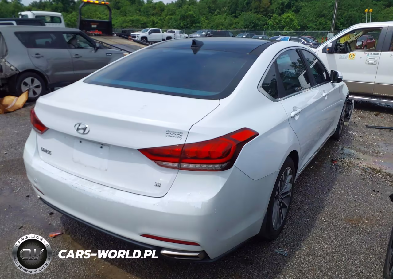2016 Hyundai Genesis 3.8 VIN:KMHGN4JE2GU124853 - 4