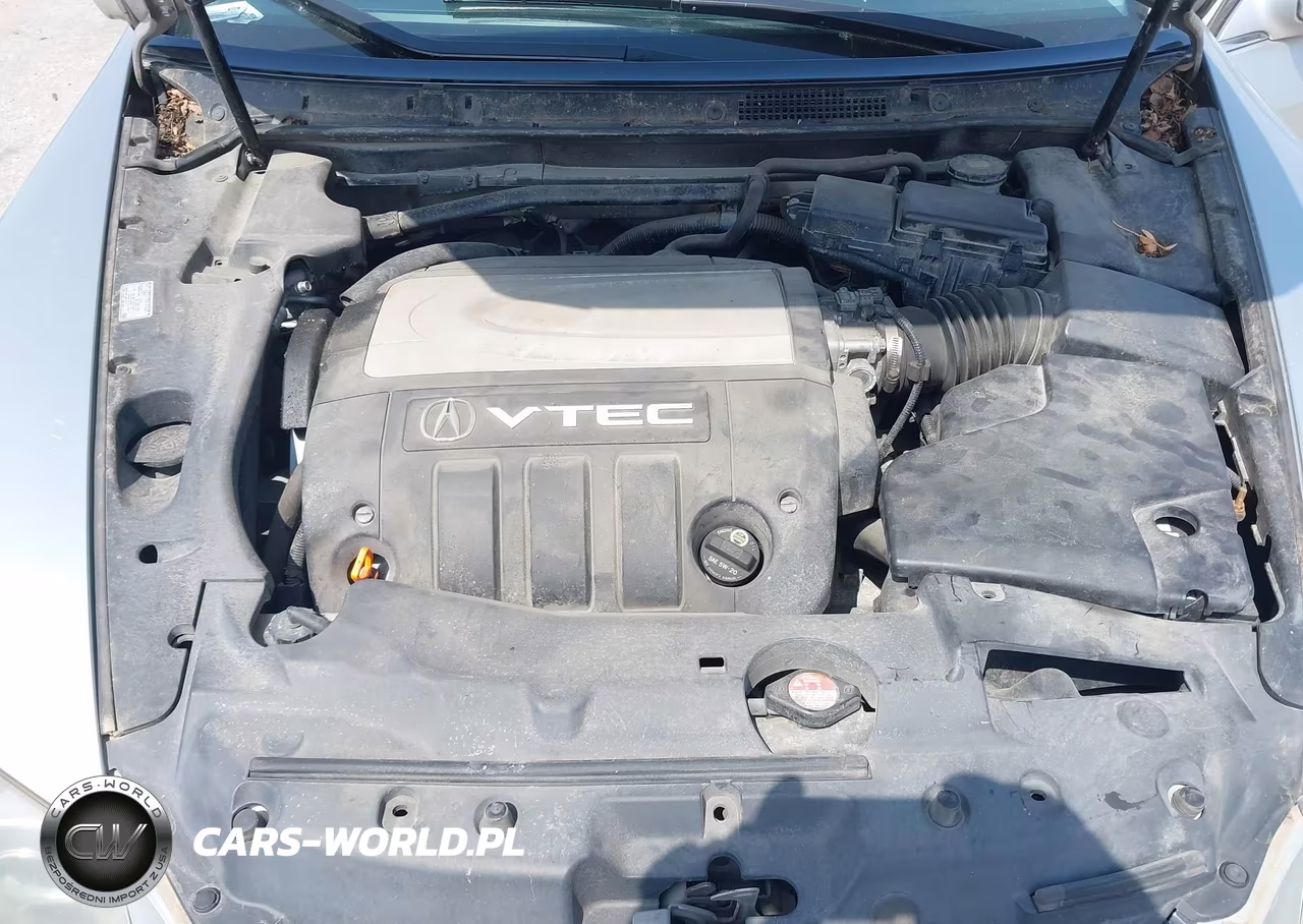 2006 Acura Rl 3.5 VIN:JH4KB16596C003982 - 10