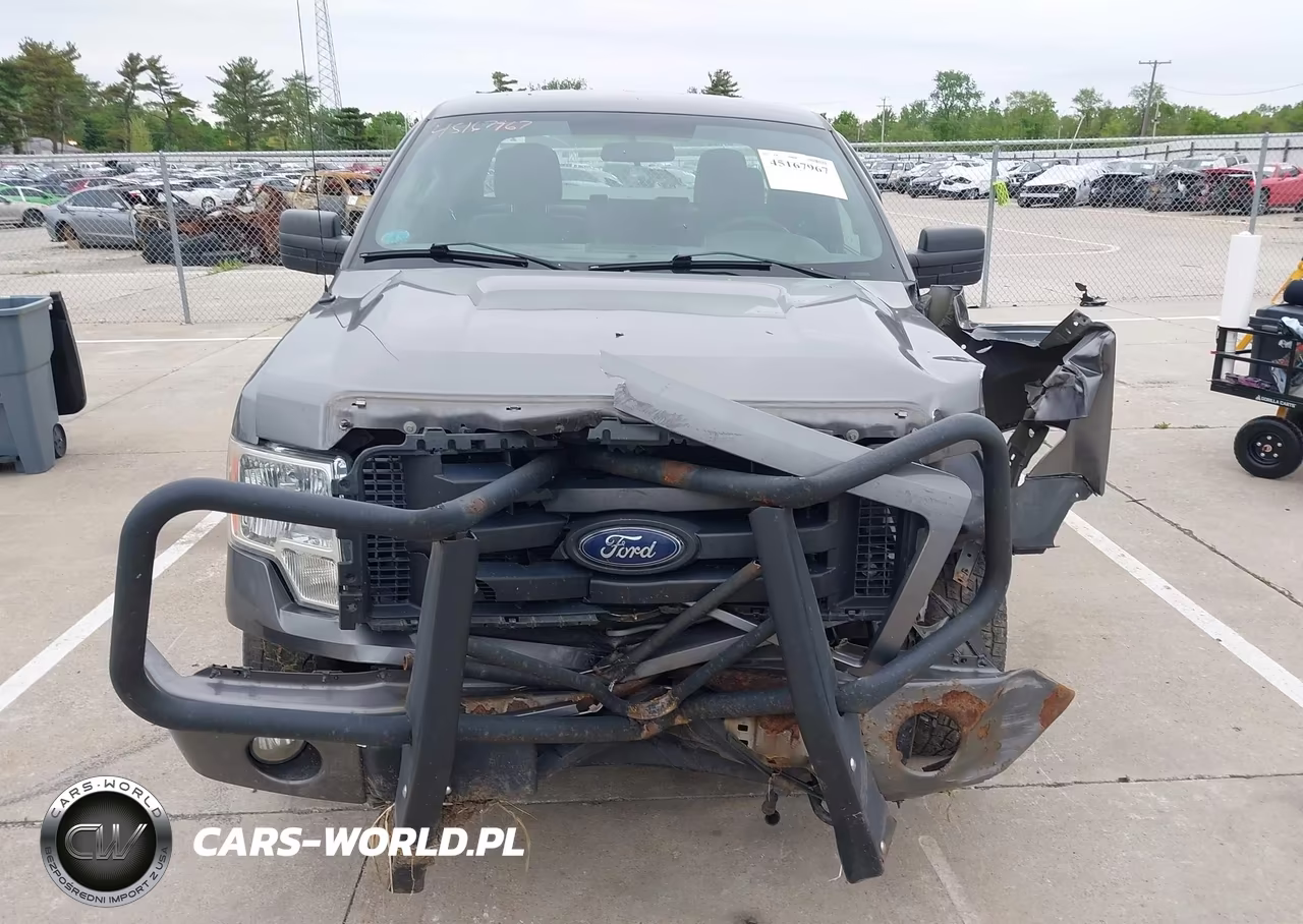 2012 Ford F-150 Stx VIN:1FTFX1EF8CFC58454 - 12