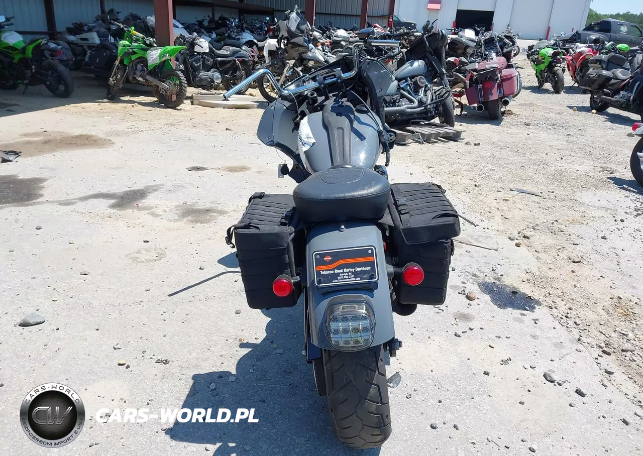 2022 Harley-Davidson Fxlrs VIN:1HD1YWZ12NB063042 - 6