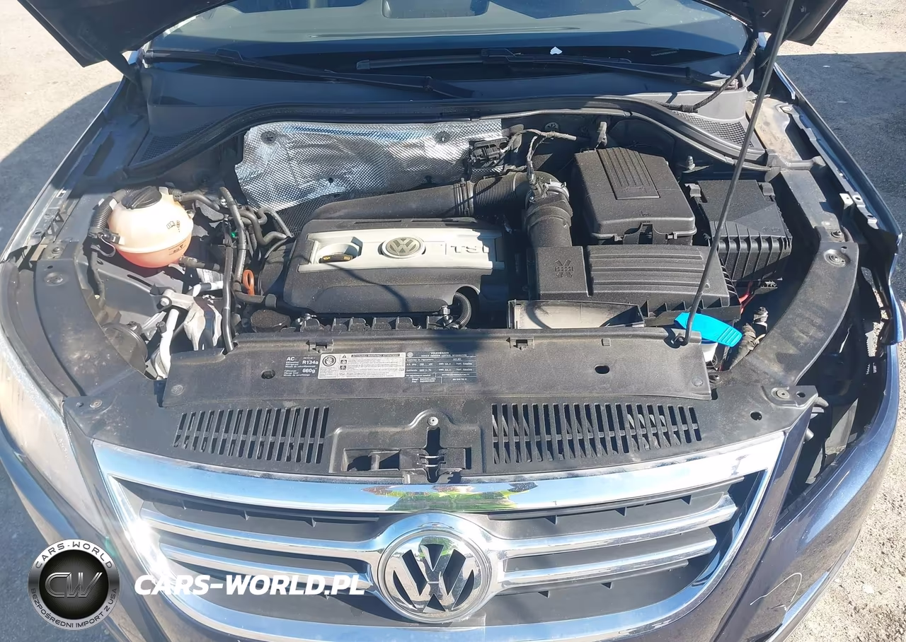 2011 Volkswagen Tiguan Se VIN:WVGAV7AX5BW523293 - 10