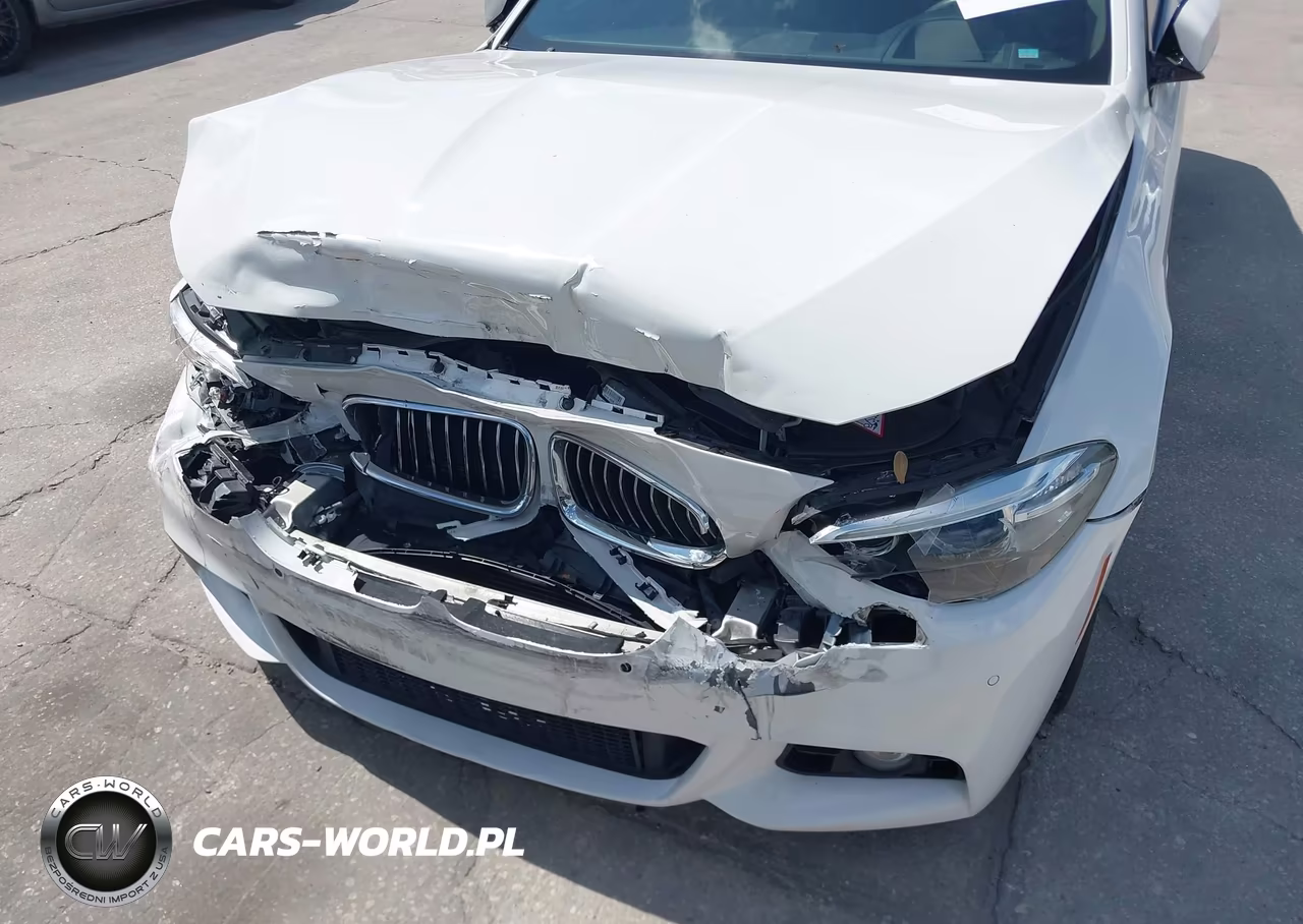 2014 BMW 535I VIN:WBA5B1C55EDZ37212 - 6