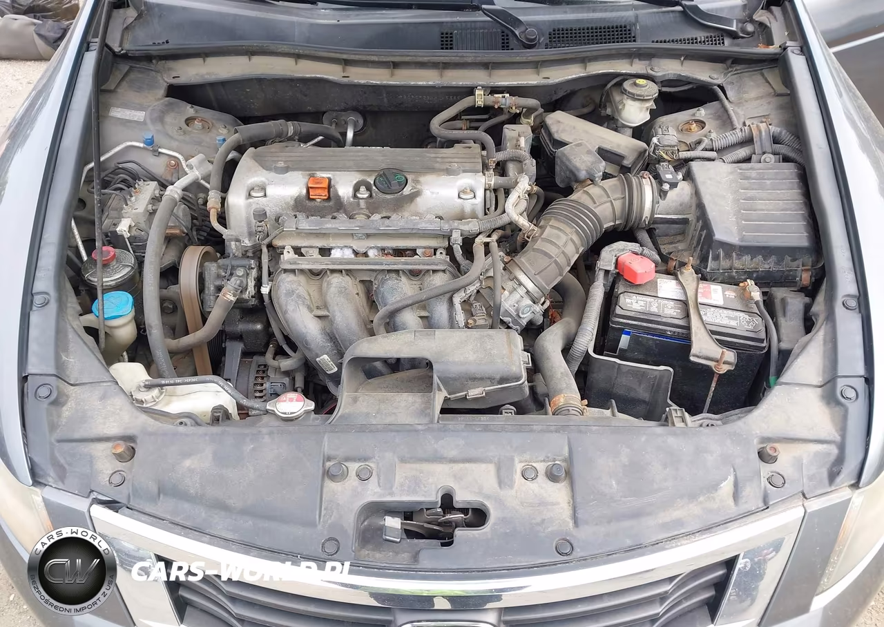 2010 Honda Accord 2.4 Lx VIN:1HGCP2F36AA145885 - 10