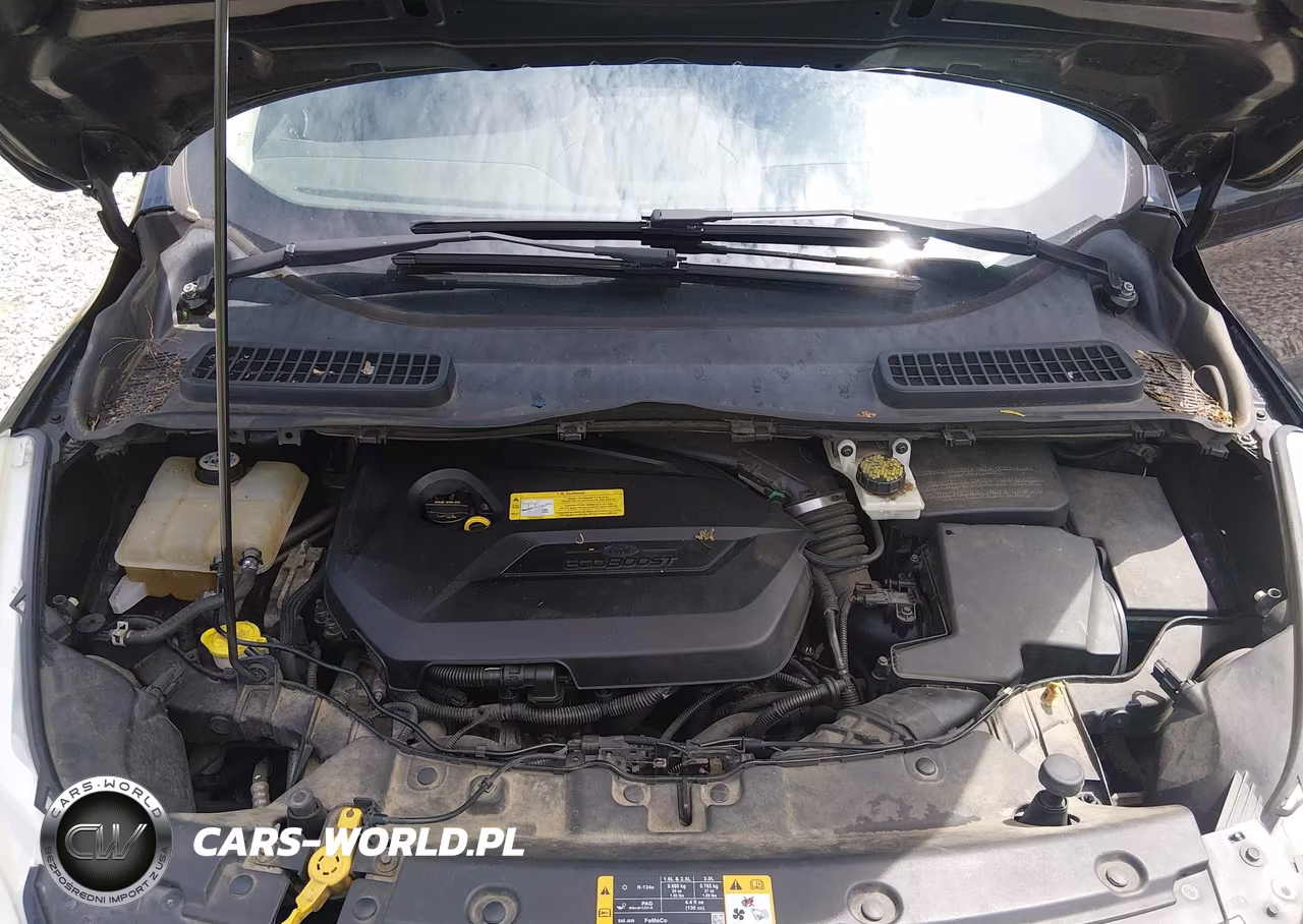 2013 Ford Escape Sel VIN:1FMCU0HX7DUB95785 - 10