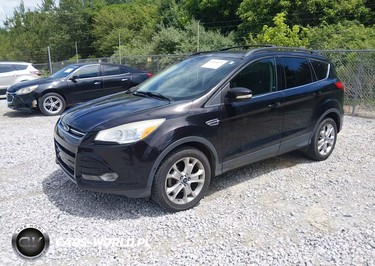 2013 Ford Escape Sel VIN:1FMCU0HX7DUB95785 - 2