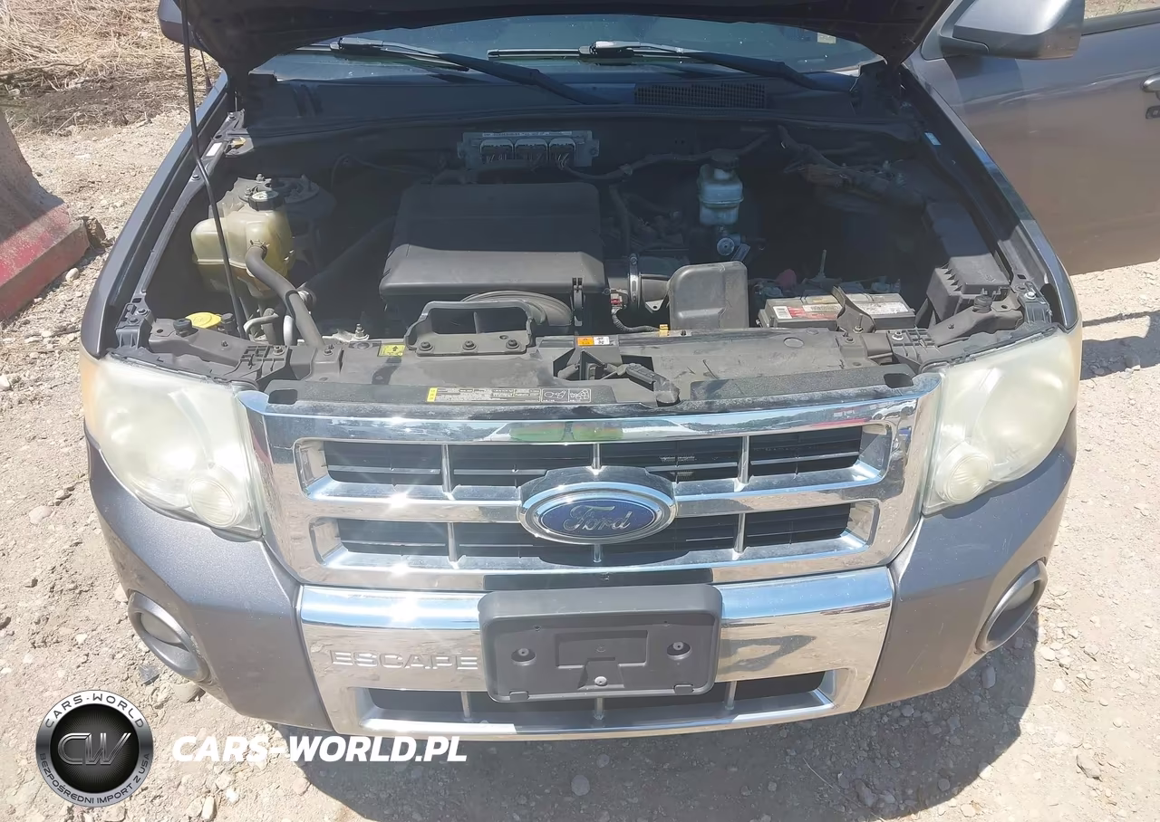 2009 Ford Escape Limited VIN:1FMCU94G49KC58659 - 10