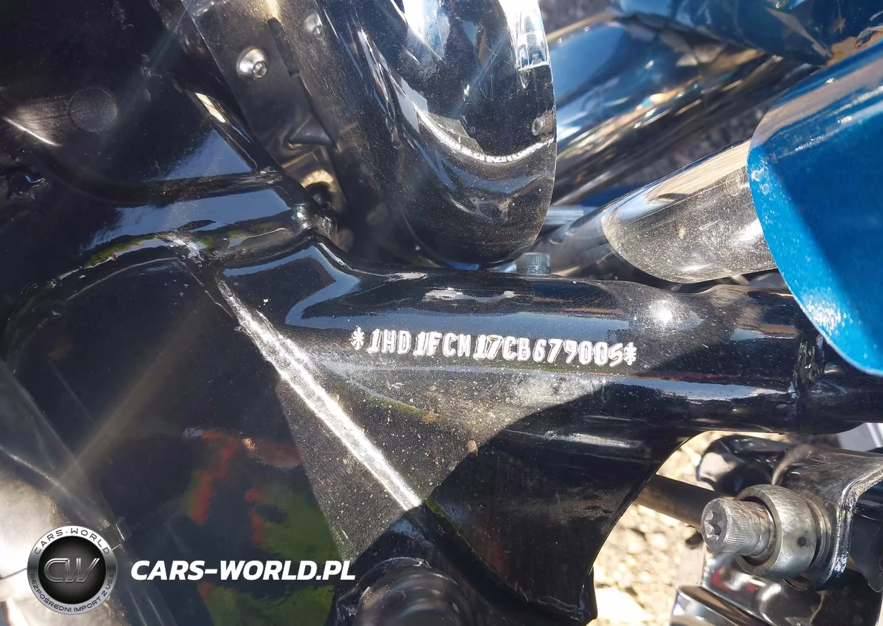 2012 Harley-Davidson Flhtcu Ultra Classic Electra Gld VIN:1HD1FCM17CB679005 - 10