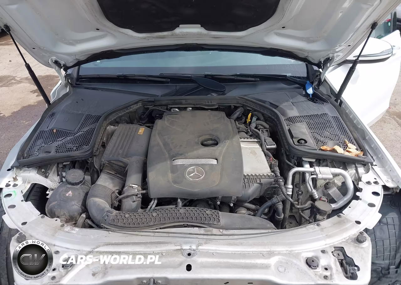 2018 Mercedes-Benz C 300 4Matic VIN:55SWF4KB5JU260216 - 10