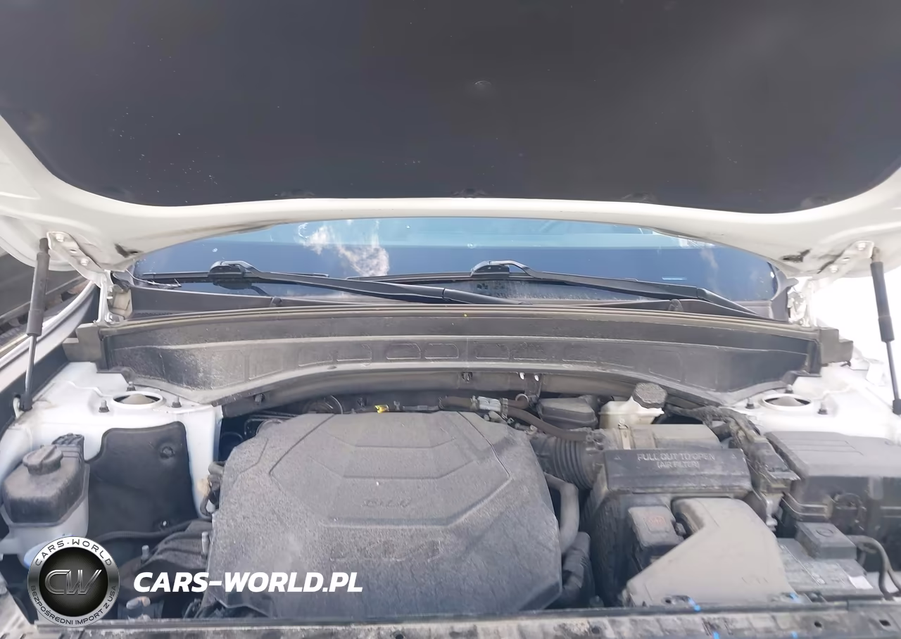 2023 Kia Telluride Sx VIN:5XYP5DGC7PG377680 - 10