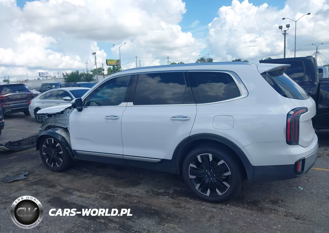 2023 Kia Telluride Sx VIN:5XYP5DGC7PG377680 - 14