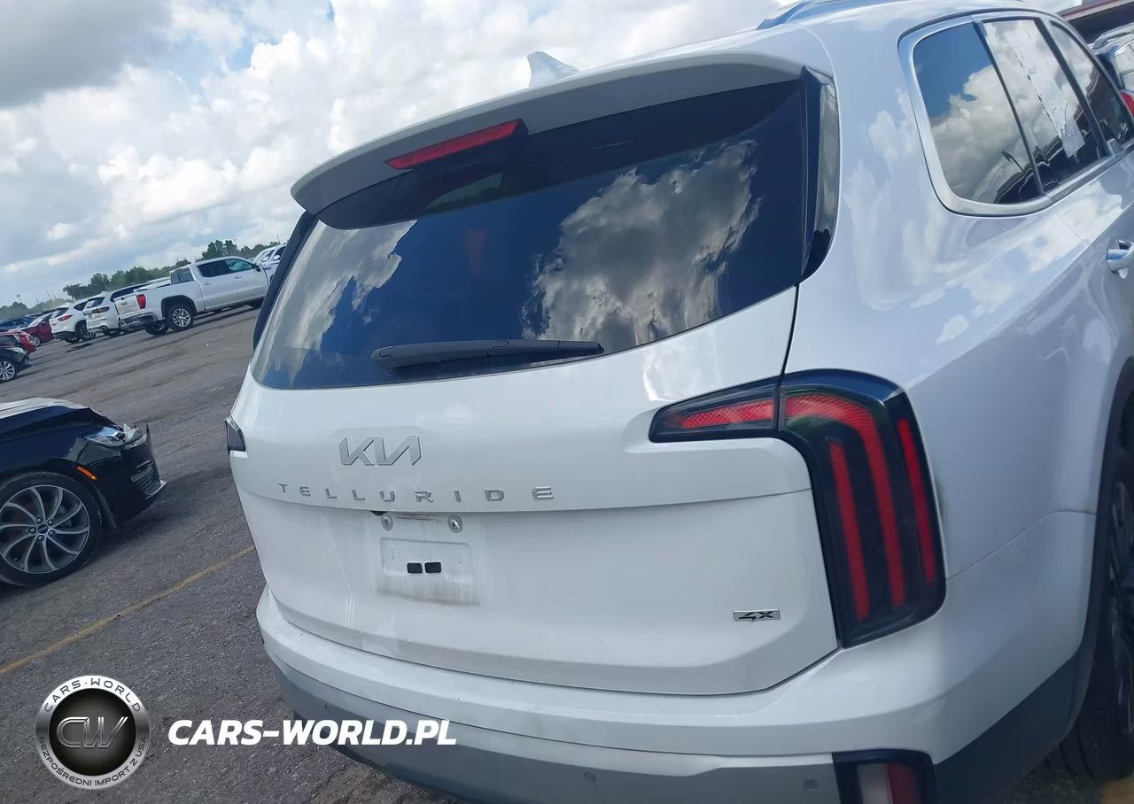2023 Kia Telluride Sx VIN:5XYP5DGC7PG377680 - 16