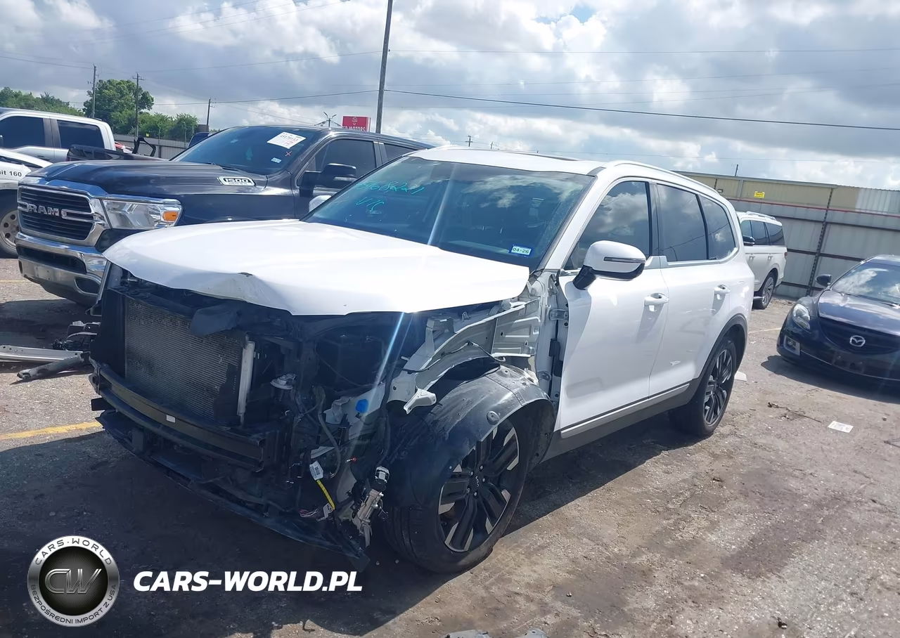 2023 Kia Telluride Sx VIN:5XYP5DGC7PG377680 - 2