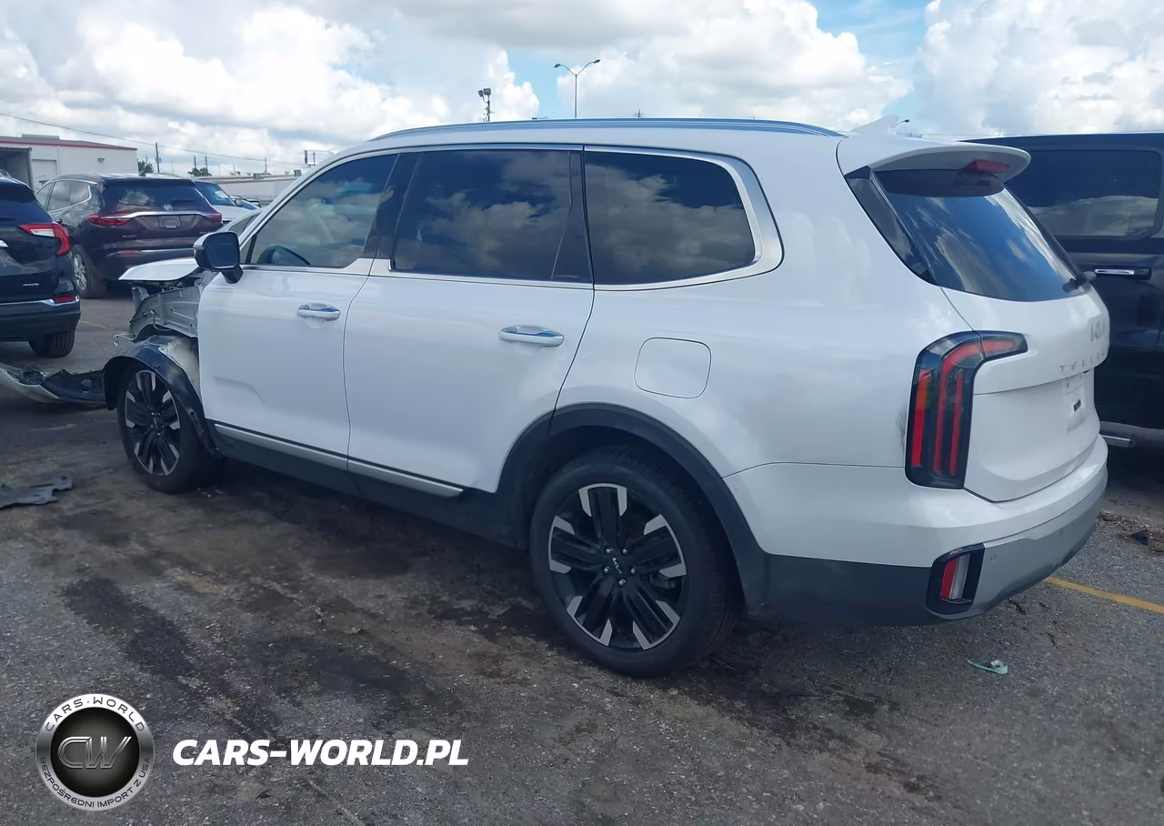 2023 Kia Telluride Sx VIN:5XYP5DGC7PG377680 - 3