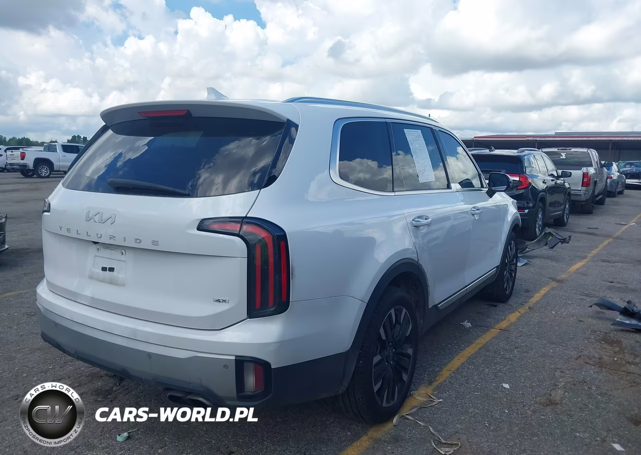 2023 Kia Telluride Sx VIN:5XYP5DGC7PG377680 - 4