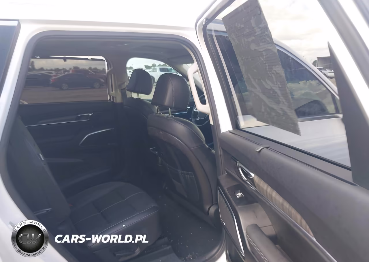 2023 Kia Telluride Sx VIN:5XYP5DGC7PG377680 - 8