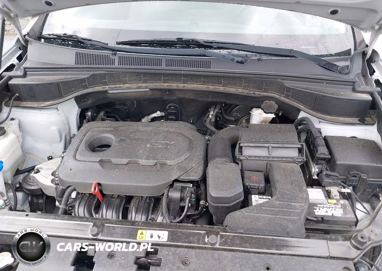 2018 Hyundai Santa Fe Sport 2.4L VIN:5XYZT3LB8JG567310 - 10
