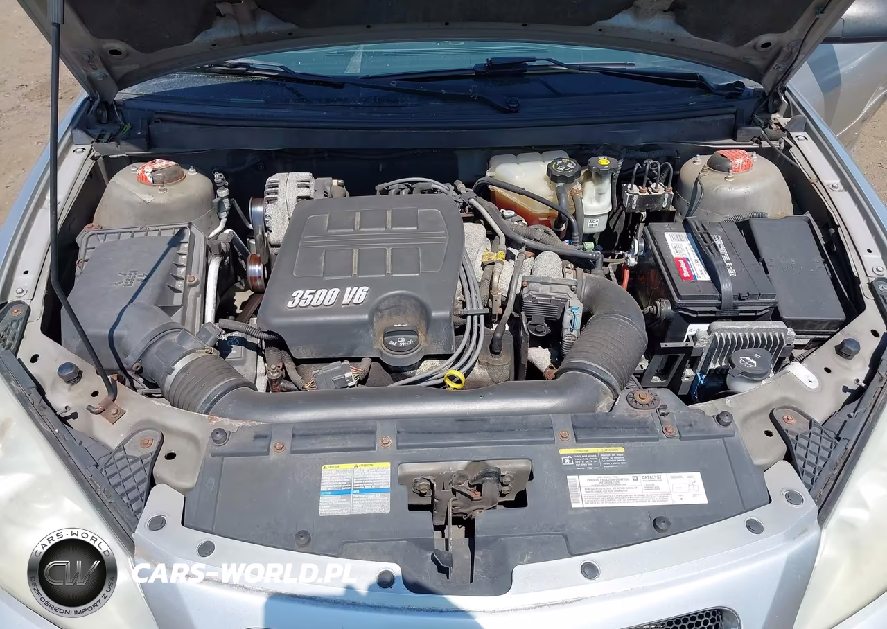 2006 Pontiac G6 VIN:1G2ZG558964187064 - 10