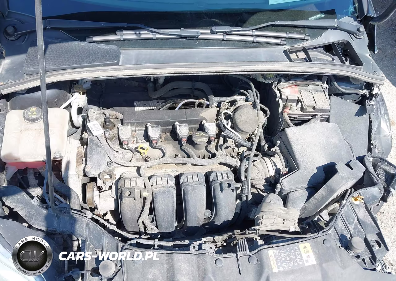 2014 Ford Focus Se VIN:1FADP3F27EL320810 - 10