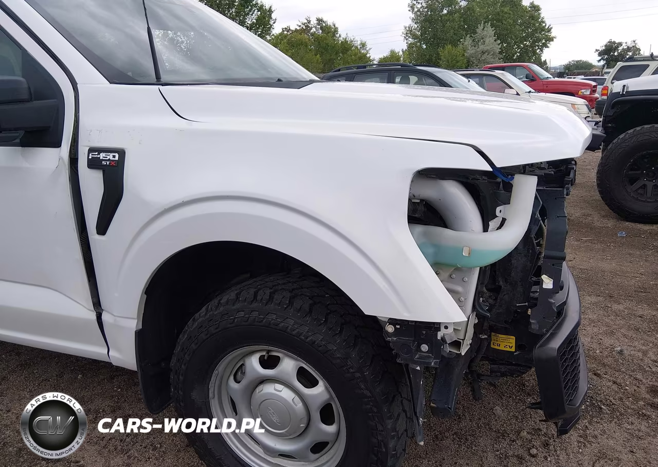 2021 Ford F-150 Xl VIN:1FTEW1EP8MKE95803 - 17